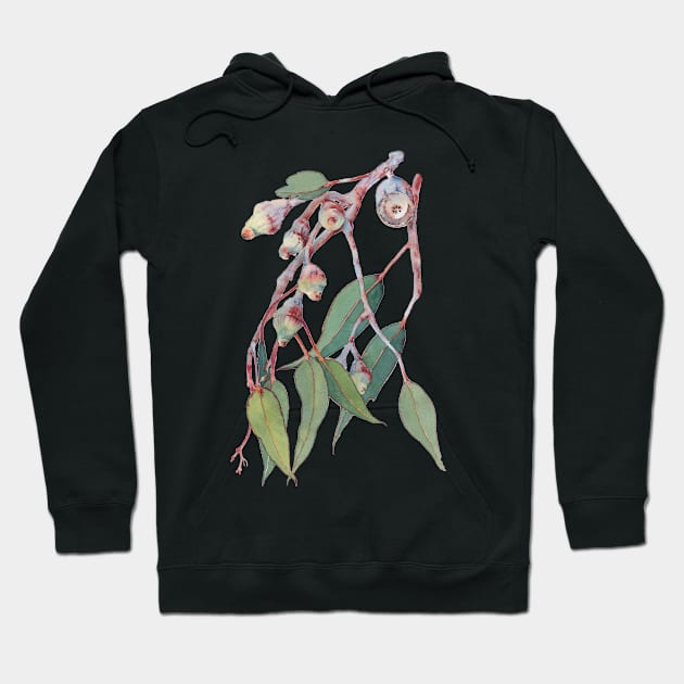 Australian native eucalyptus tree branch watercolour Hoodie by ZoyaArt